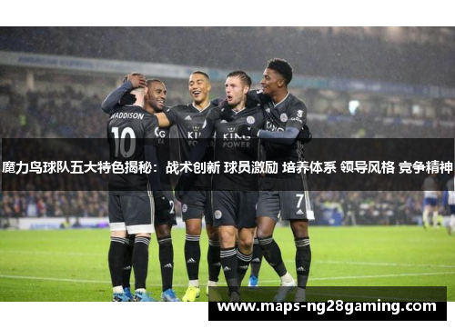 魔力鸟球队五大特色揭秘：战术创新 球员激励 培养体系 领导风格 竞争精神