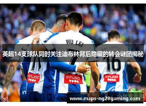 英超14支球队同时关注迪布林背后隐藏的转会谜团揭秘