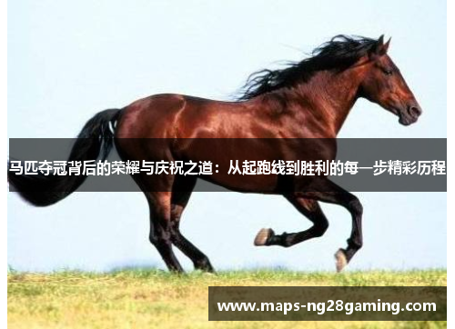 马匹夺冠背后的荣耀与庆祝之道：从起跑线到胜利的每一步精彩历程