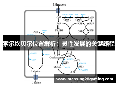 索尔坎贝尔位置解析：灵性发展的关键路径