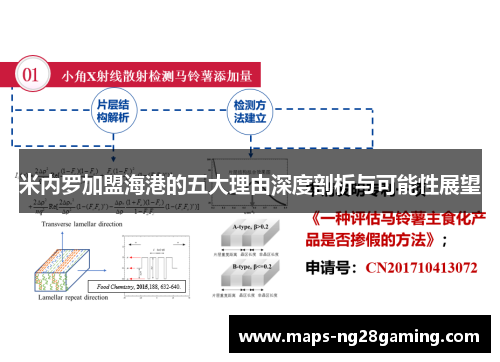 米内罗加盟海港的五大理由深度剖析与可能性展望