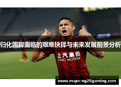 归化国脚面临的艰难抉择与未来发展前景分析