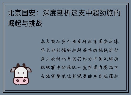 北京国安：深度剖析这支中超劲旅的崛起与挑战